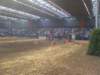 Photo Number 6