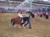 Photo Number 9