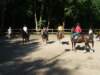 Photo Number 6
